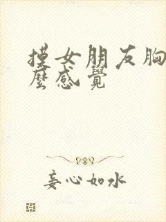 摸女朋友胸是什么感觉封面