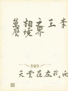 万相之王李洛什么境界封面