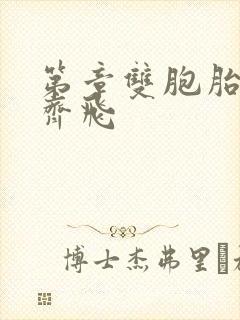 第章双胞胎姐妹齐飞封面
