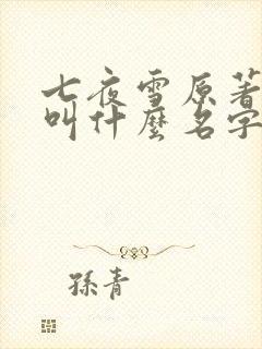 七夜雪原著小说叫什么名字啊封面