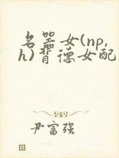名器女(np,h)背德女配h封面