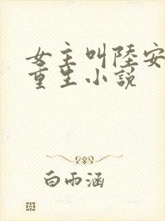 女主叫陆安宁的重生小说