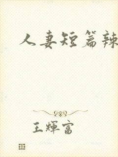 人妻短篇辣文