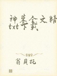神墓全文精校版txt下载封面