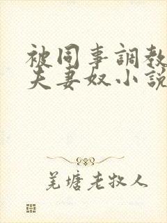 被同事调教成了夫妻奴小说