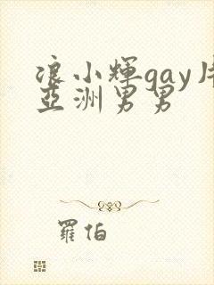 浪小辉gay片亚洲男男