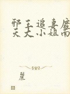 邪王追妻废材逆天大小姐南宫流云
