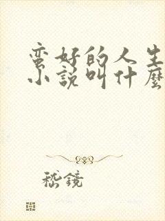 蛮好的人生原著小说叫什么名字封面