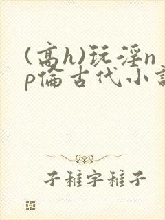 (高h)玩淫np伦古代小说