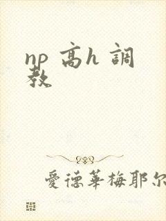 np 高h 调教