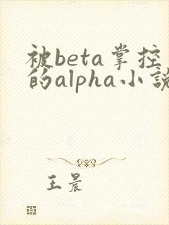 被beta掌控的alpha小说笔趣阁