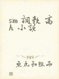 sm 调教 高h 小说