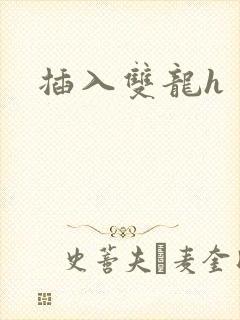插入双龙h