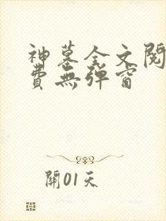 神墓全文阅读免费无弹窗