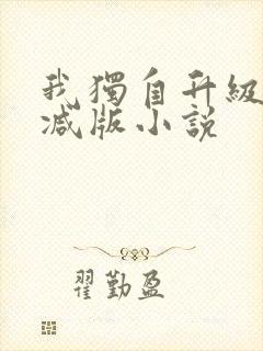 我独自升级无删减版小说