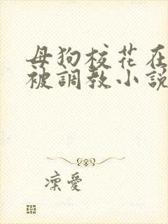 母狗校花在学校被调教小说笔趣阁免