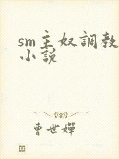 sm主奴调教文小说封面