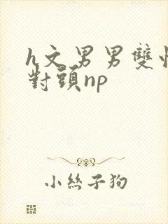 h文男男双性死对头np封面