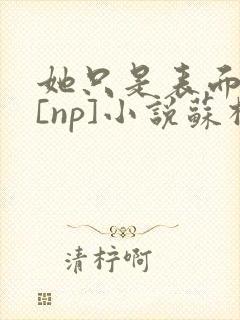 她只是表面清纯[np]小说苏棉封面