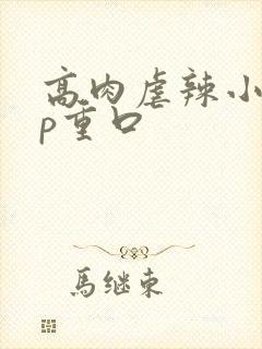高肉虐辣小说np重口