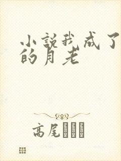 小说我成了父亲的月老