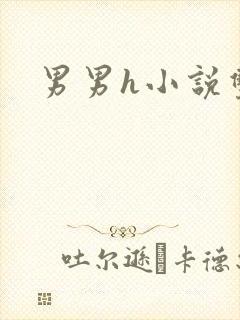 男男h小说双性封面