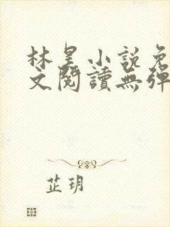 林昊小说免费全文阅读无弹窗