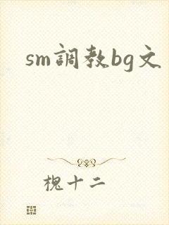 sm调教bg文
