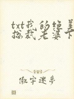 txt我的绝美总裁老婆下载封面