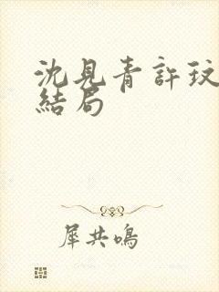 沈见青许玟玟大结局封面