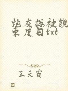 炮灰总被觊觎 东度日txt