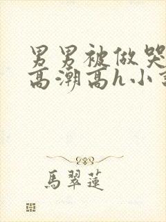 男男被做哭失禁高潮高h小说封面