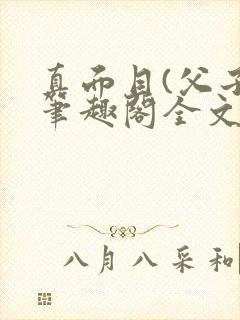 真面目(父子)笔趣阁全文