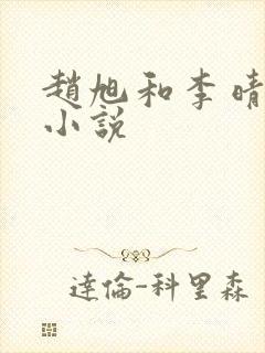 赵旭和李晴晴的小说