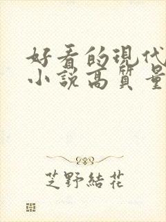好看的现代言情小说高质量文笔好