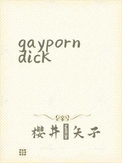 gayporndick