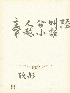主人公叫陆羽的穿越小说