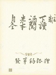 月光洒下离人巷全本阅读