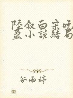 陆叙白宋晚陆盈盈小说结局
