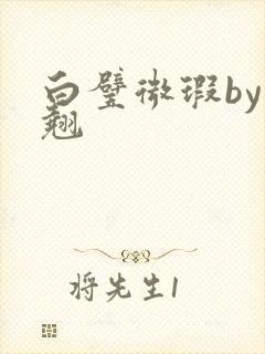 白璧微瑕by连翘