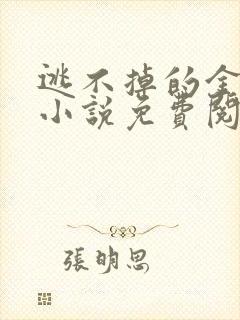 逃不掉的金丝雀小说免费阅读全文最新章节封面