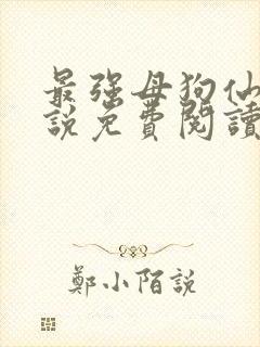 最强母狗仙女小说免费阅读无弹窗笔