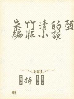 朱竹清的堕落改编版小说封面