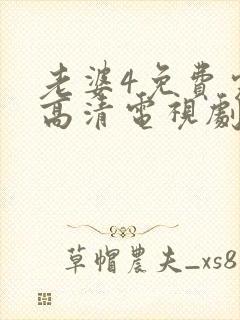 老婆4免费完整高清电视剧在线观看