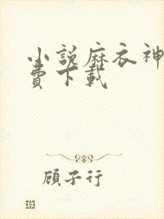 小说麻衣神婿免费下载
