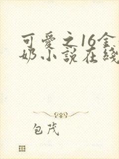 可爱之16金奶奶小说在线阅读