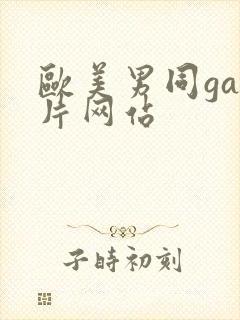 欧美男同gay片网站