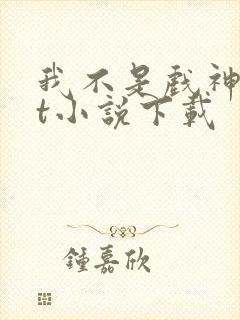 我不是戏神txt小说下载封面