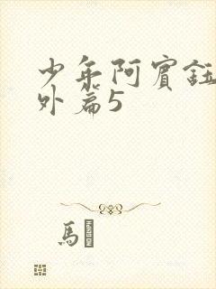 少年阿宾钰慧番外篇5