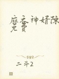 麻衣神婿陈黄皮免费